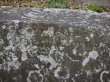image of grave number 807437